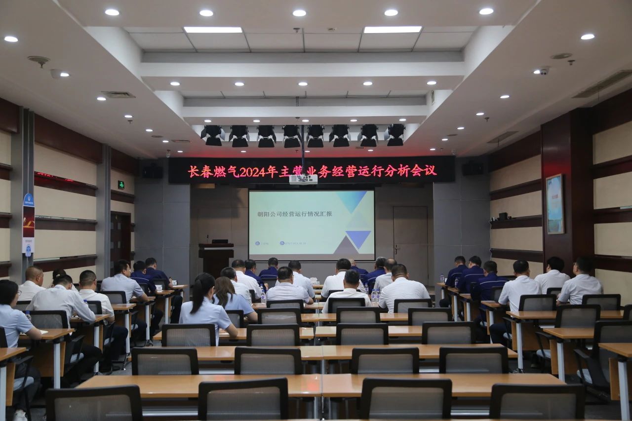 尊龙凯时召开2024年上半年经营运行分析工作会议